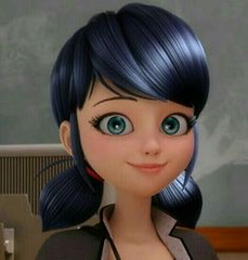 صور الدعسوقة والقط الاسود