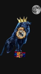 صور ريال مدريد