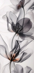 صور خلفيات سامسونج جلاكسي اس ٢٥