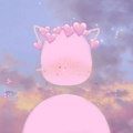 صور بروفايل واتس