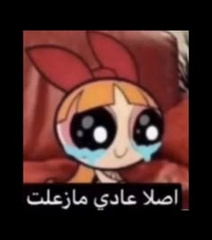 صور استيكرات واتس