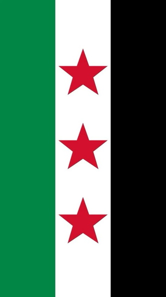 syria_flag1.jpg