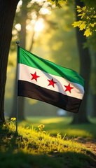 صور علم سوريا