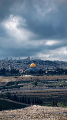 صور مدن فلسطين و اثارها