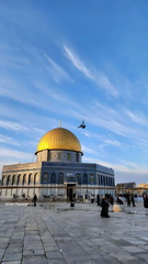 صور مدن فلسطين و اثارها