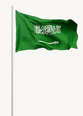 صور علم السعودية