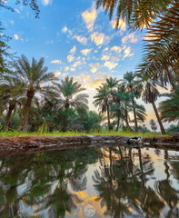 صور مدن السعودية و اثارها