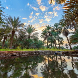 صور مدن السعودية و اثارها