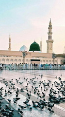 صور المسجد النبوي