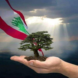 صور المناسبات الوطنية