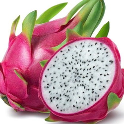 صور غريبة