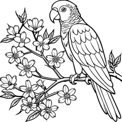 صور للتلوين للكبار