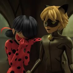 صور الدعسوقة والقط الاسود