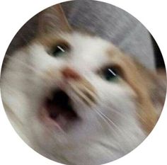 صور بروفايل واتس