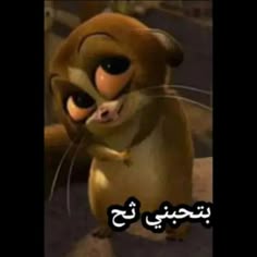 صور استيكرات واتس